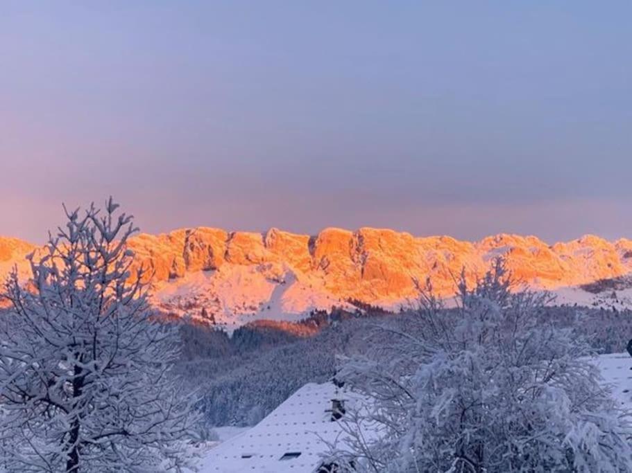 Studio Chaleureux A Villard De Lans Kültér fotó